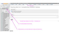 Hướng dẫn Backup cơ sở dữ liệu WordPress