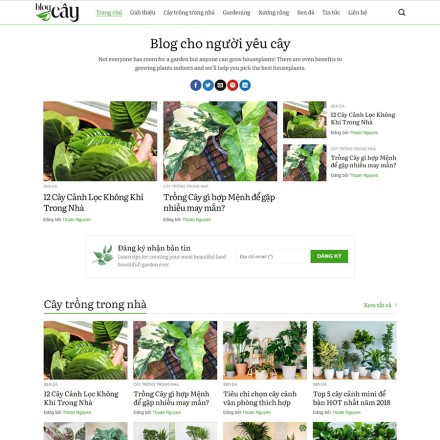 Theme wordpress tin tức 18