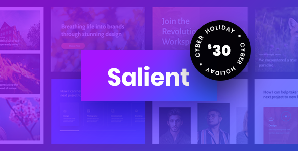 Salient | Creative Multipurpose &amp; WooCommerce Theme