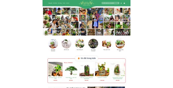 Theme wordpress bán cây xanh terrarium