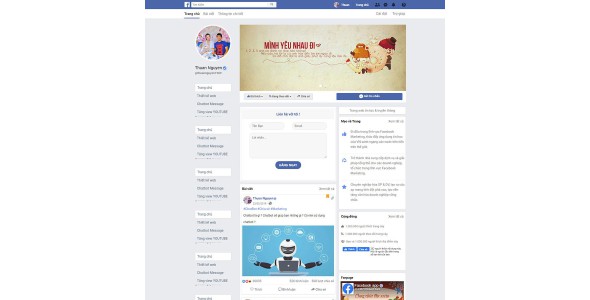 Theme wordpress Facebook