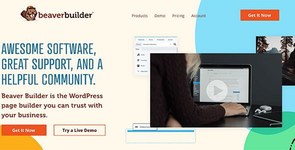 Beaver Builder Professional WordPress Plugin