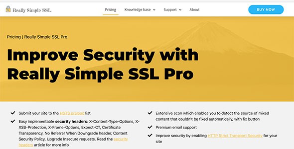 Really Simple SSL Pro