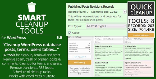 Smart Cleanup Tools Dọn dẹp database WordPress tối nhất