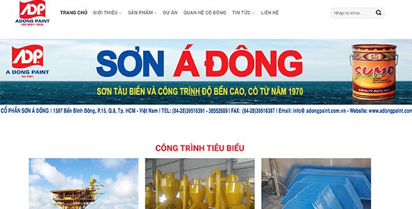 Web công ty cung cấp các loại sơn