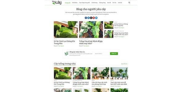 Theme wordpress tin tức 18