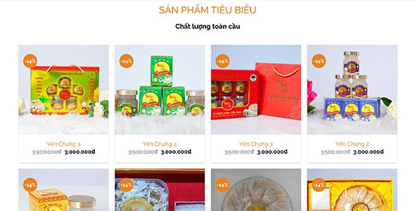 Web yến sào