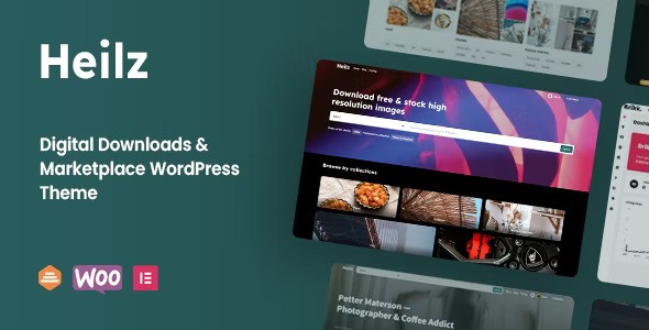 Heilz - Digital Downloads &amp; Marketplace WordPress Theme