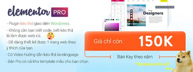 Elementor Pro có Key Timelife